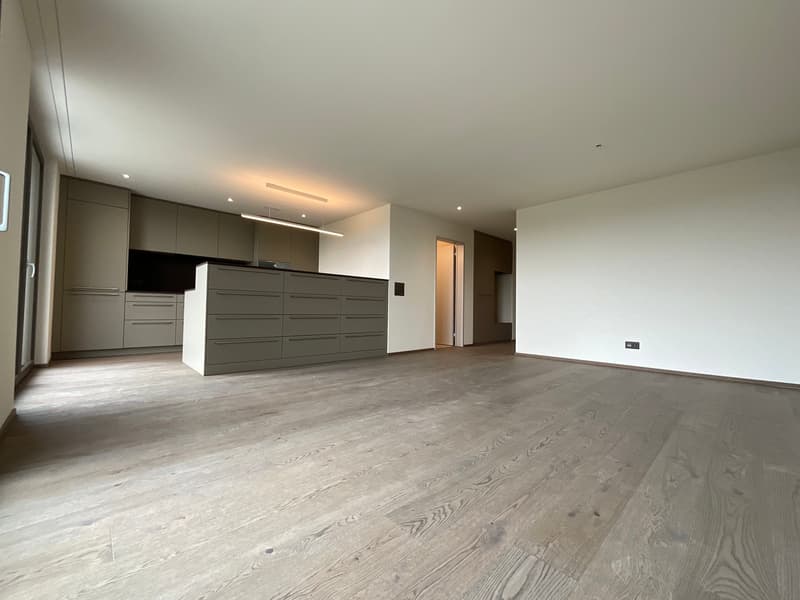Appartamento di 3,5 locali con giardino e vista mozzafiato e stanza aggiuntiva (7)