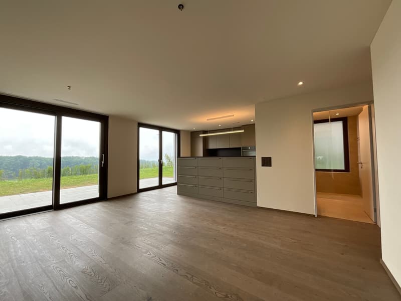 Appartamento di 3,5 locali con giardino e vista mozzafiato e stanza aggiuntiva (6)