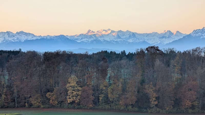 Appartamento di 3,5 locali con giardino e vista mozzafiato e stanza aggiuntiva (18)