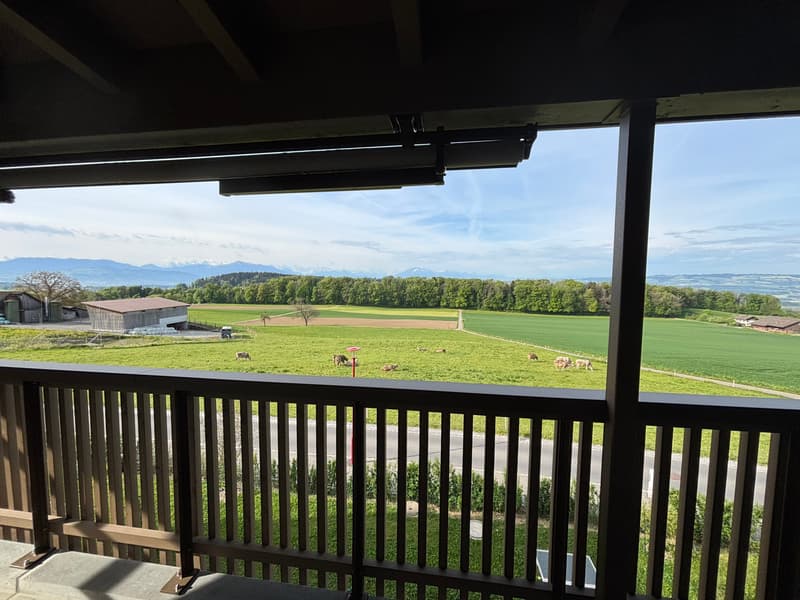 Grosszügige 3.5 Zimmer-Wohnung mit wundervoller Aussicht auf das Bergpanorama (10)
