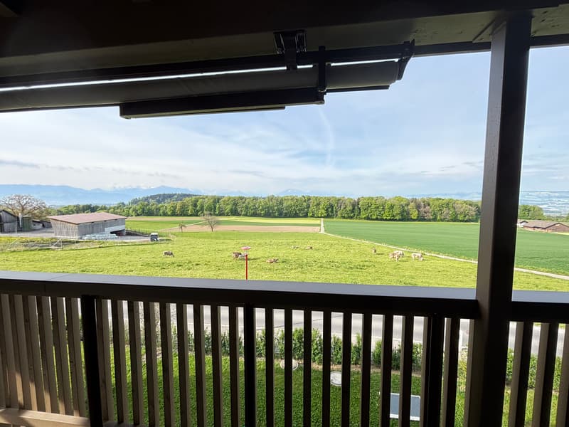 Grosszügige 3.5 Zimmer-Wohnung mit wundervoller Aussicht auf das Bergpanorama (11)