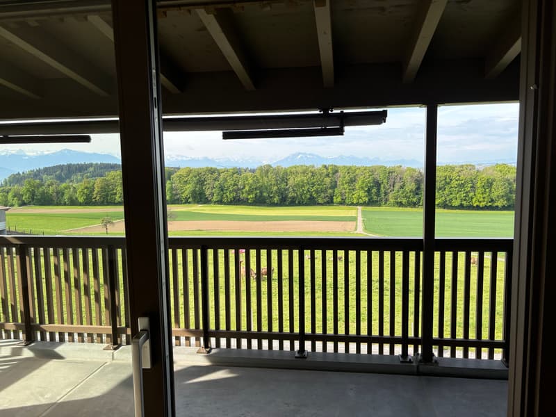 Grosszügige 3.5 Zimmer-Wohnung mit wundervoller Aussicht auf das Bergpanorama (21)
