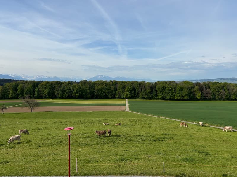 Grosszügige 3.5 Zimmer-Wohnung mit wundervoller Aussicht auf das Bergpanorama (23)