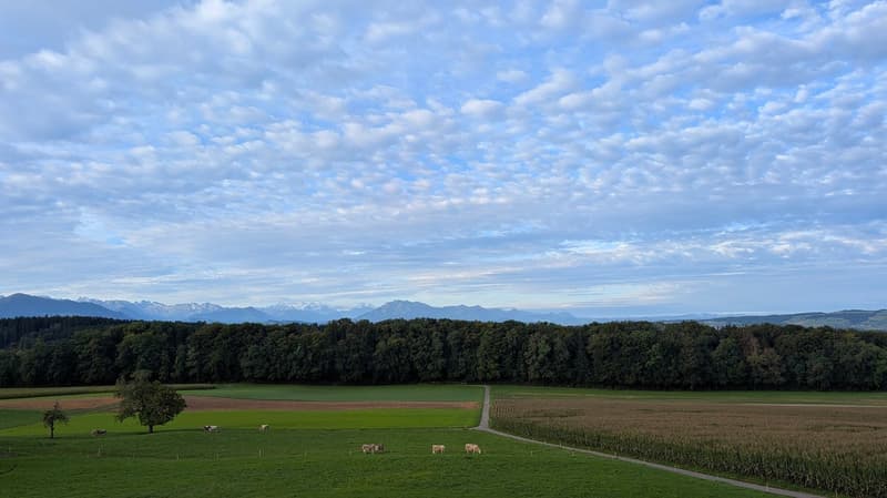 Grosszügige 3.5 Zimmer-Wohnung mit wundervoller Aussicht auf das Bergpanorama (32)