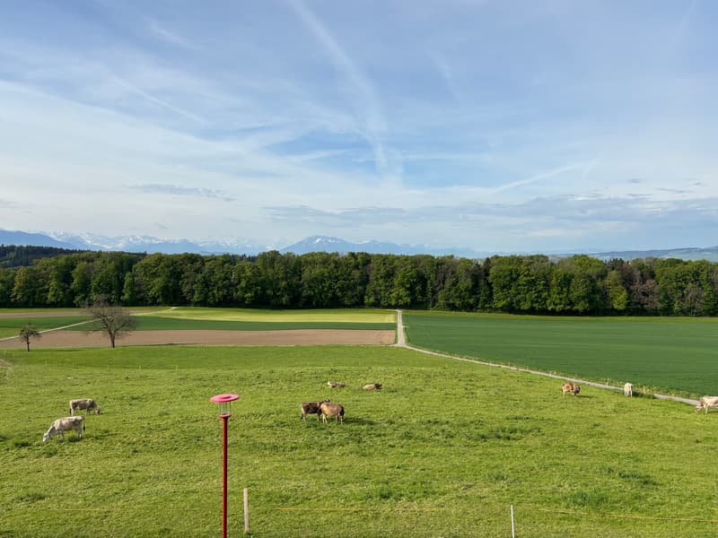 Grosszügige 3.5 Zimmer-Wohnung mit wundervoller Aussicht auf das Bergpanorama (22)
