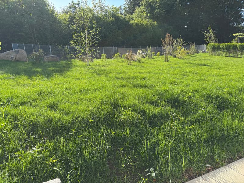 ERSTVERMIETUNG Gartenparadies: 4.5 Zimmer-Wohnung mit grossem Garten (4)