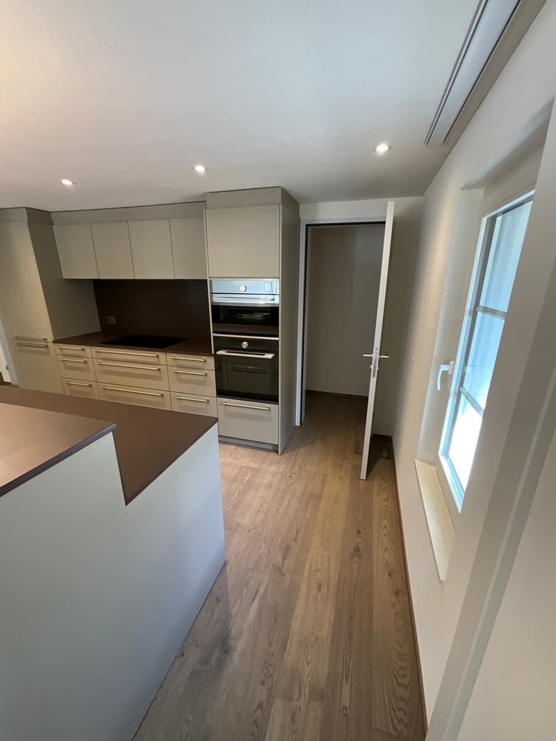 Altbaucharme trifft auf Neubau: ERSTVERMIETUNG 4.5 Zimmer-Wohnung (24)
