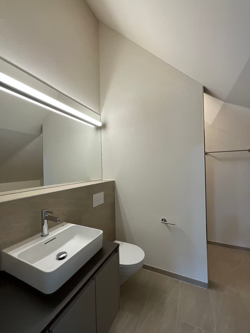 Altbaucharme trifft auf Neubau: ERSTVERMIETUNG 4.5 Zimmer-Wohnung (18)