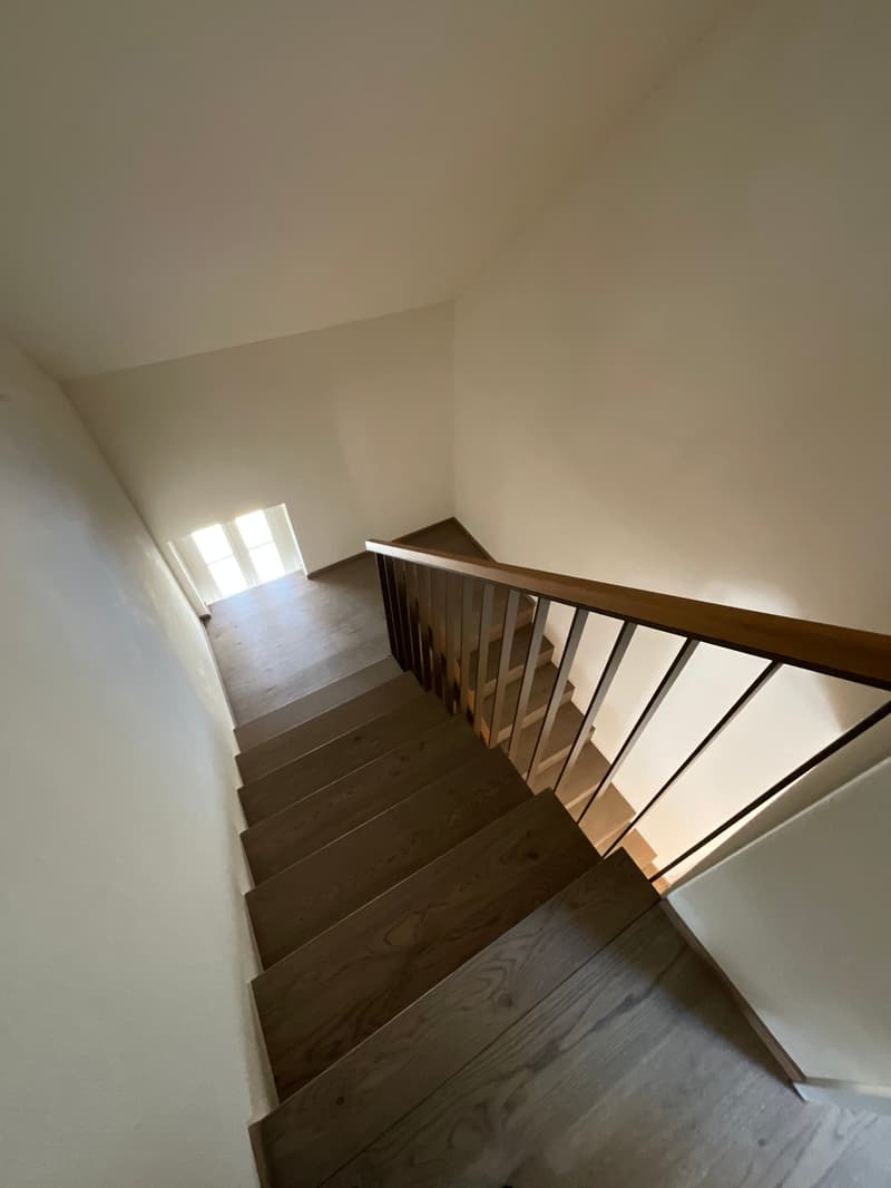 Altbaucharme trifft auf Neubau: ERSTVERMIETUNG 4.5 Zimmer-Wohnung (21)