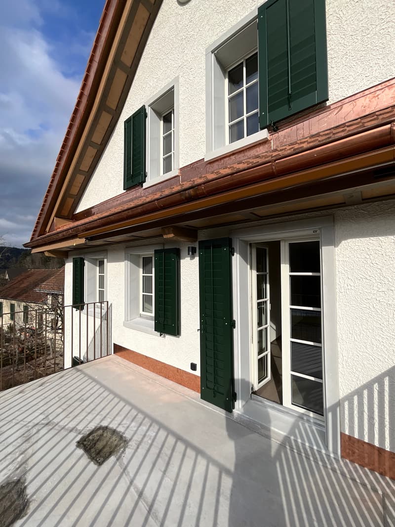 Altbaucharme trifft auf Neubau: ERSTVERMIETUNG 4.5 Zimmer-Wohnung (26)