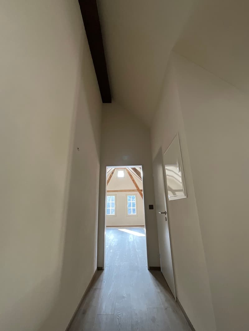 Altbaucharme trifft auf Neubau: ERSTVERMIETUNG 4.5 Zimmer-Wohnung (12)