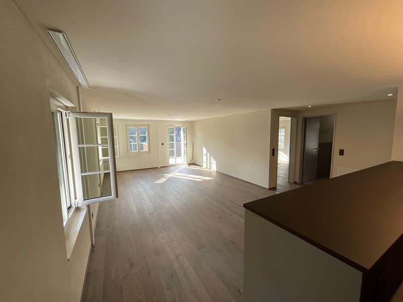 Altbaucharme trifft auf Neubau: ERSTVERMIETUNG 4.5 Zimmer-Wohnung (29)