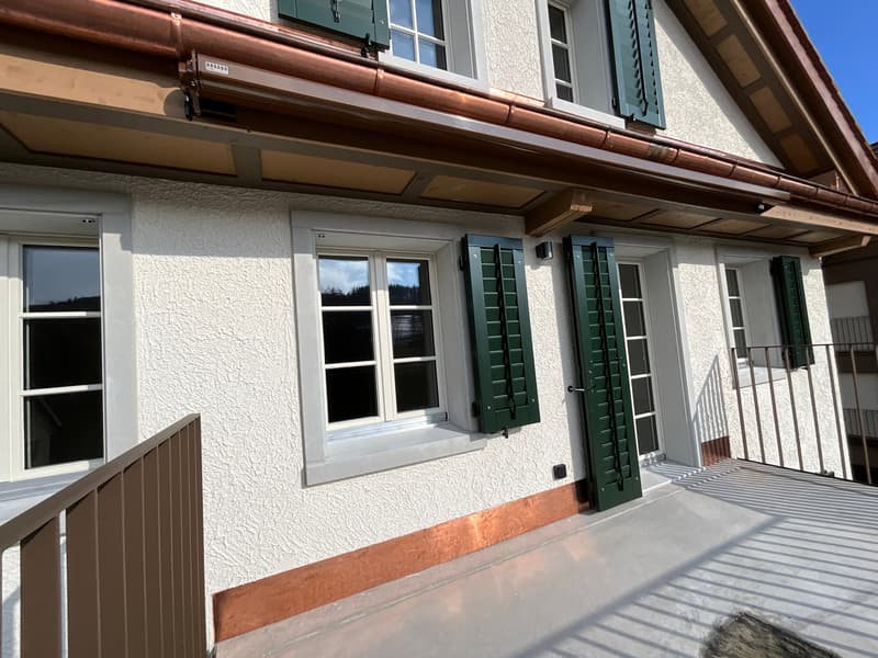 Altbaucharme trifft auf Neubau: ERSTVERMIETUNG 4.5 Zimmer-Wohnung (3)