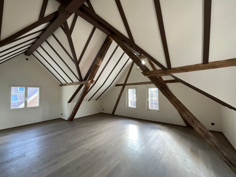 Altbaucharme trifft auf Neubau: ERSTVERMIETUNG 4.5 Zimmer-Wohnung (22)