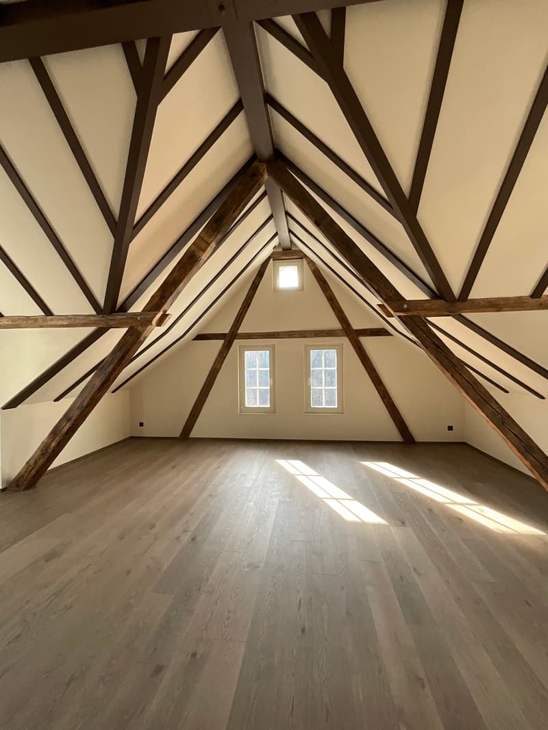 Altbaucharme trifft auf Neubau: ERSTVERMIETUNG 4.5 Zimmer-Wohnung (16)