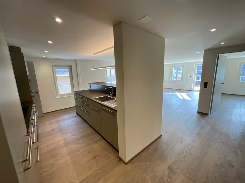 Altbaucharme trifft auf Neubau: ERSTVERMIETUNG 4.5 Zimmer-Wohnung (10)