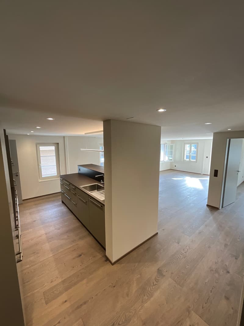 Altbaucharme trifft auf Neubau: ERSTVERMIETUNG 4.5 Zimmer-Wohnung (23)