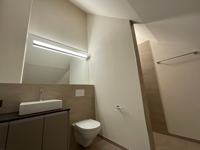 Altbaucharme trifft auf Neubau: ERSTVERMIETUNG 4.5 Zimmer-Wohnung (19)