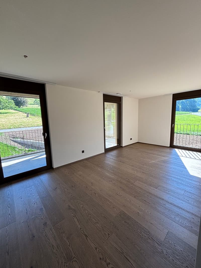 Grosse 3.5 Zimmer-Wohnung mit zwei Balkonen Nähe Türlersee (5)
