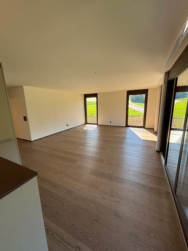 Grosse 3.5 Zimmer-Wohnung mit zwei Balkonen Nähe Türlersee (21)