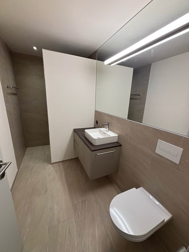 Grosszügige, neuwertige 3.5 Zimmer-Wohnung mit Garten (8)