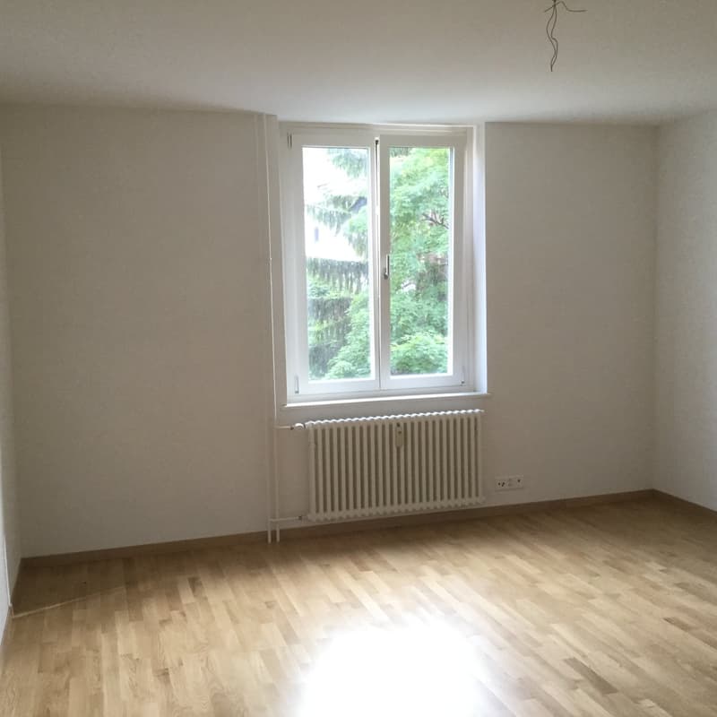 Charmante 3.5-Zimmer-Altbauwohnung mit Balkon in Basel (9)