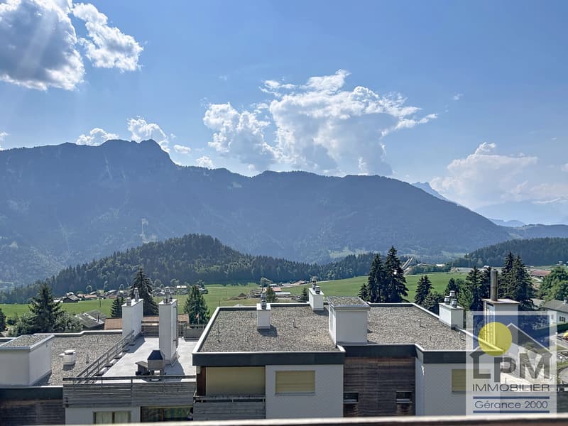 Élégant appartement 2.5p Charme, confort et emplacement privilégié (12)