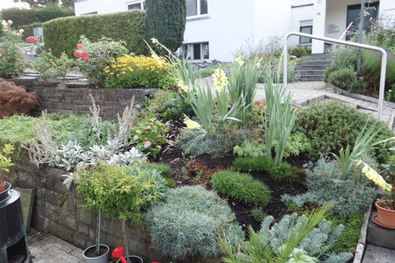 well maintained garden with various plants, flowers, and shrubs; stone wall border; a small pool at the bottom left