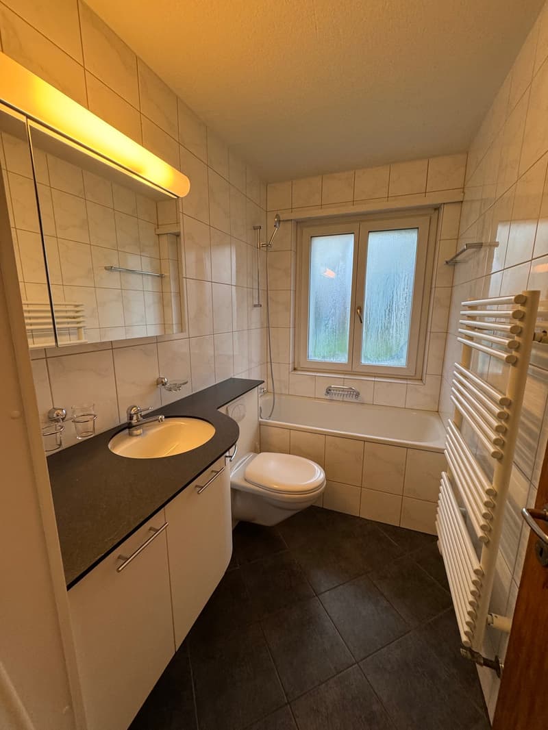 Helle 4.5-Zimmer-Wohnung mit Balkon in Zürich Altstetten (5)