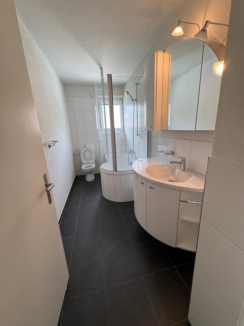 Bathroom with white tiles, white sink, mirror, toilet, shower, bathtub