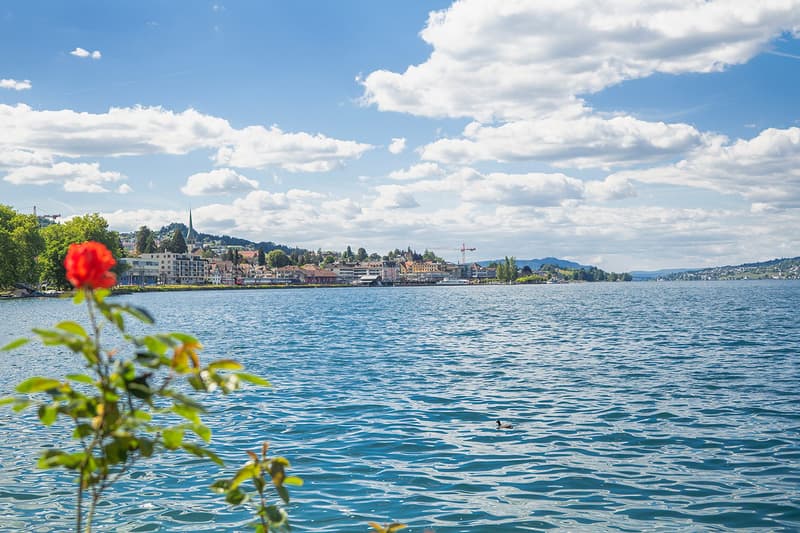 Einmalige Gelegenheit - Wohnen auf der Giessen-Halbinsel in Wädenswil (8)