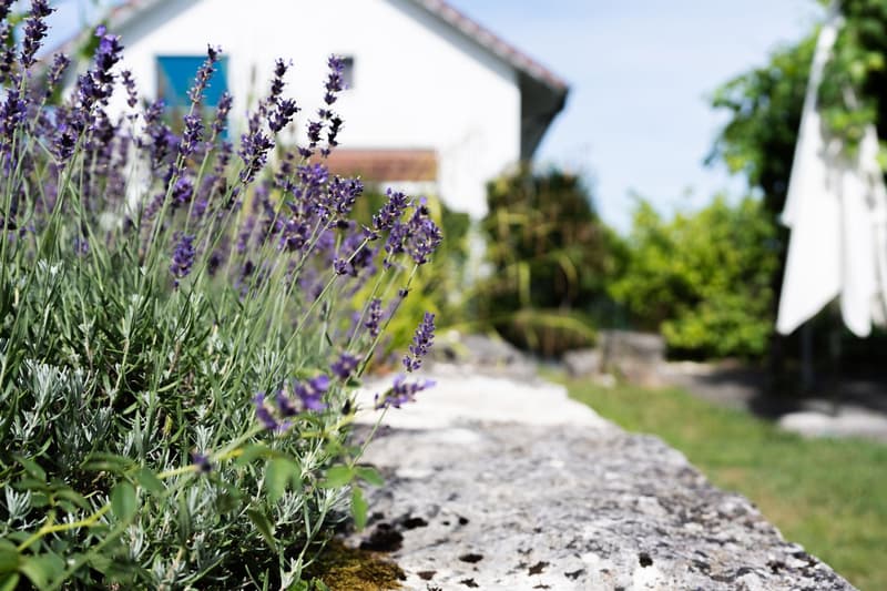 Gartenidylle über Regensdorf – Ihr neues Zuhause für die ganze Familie (24)
