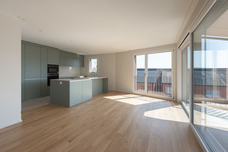 Exklusive 5.5-Zimmer-Attikawohnung mit vier Dachterrassen (4)