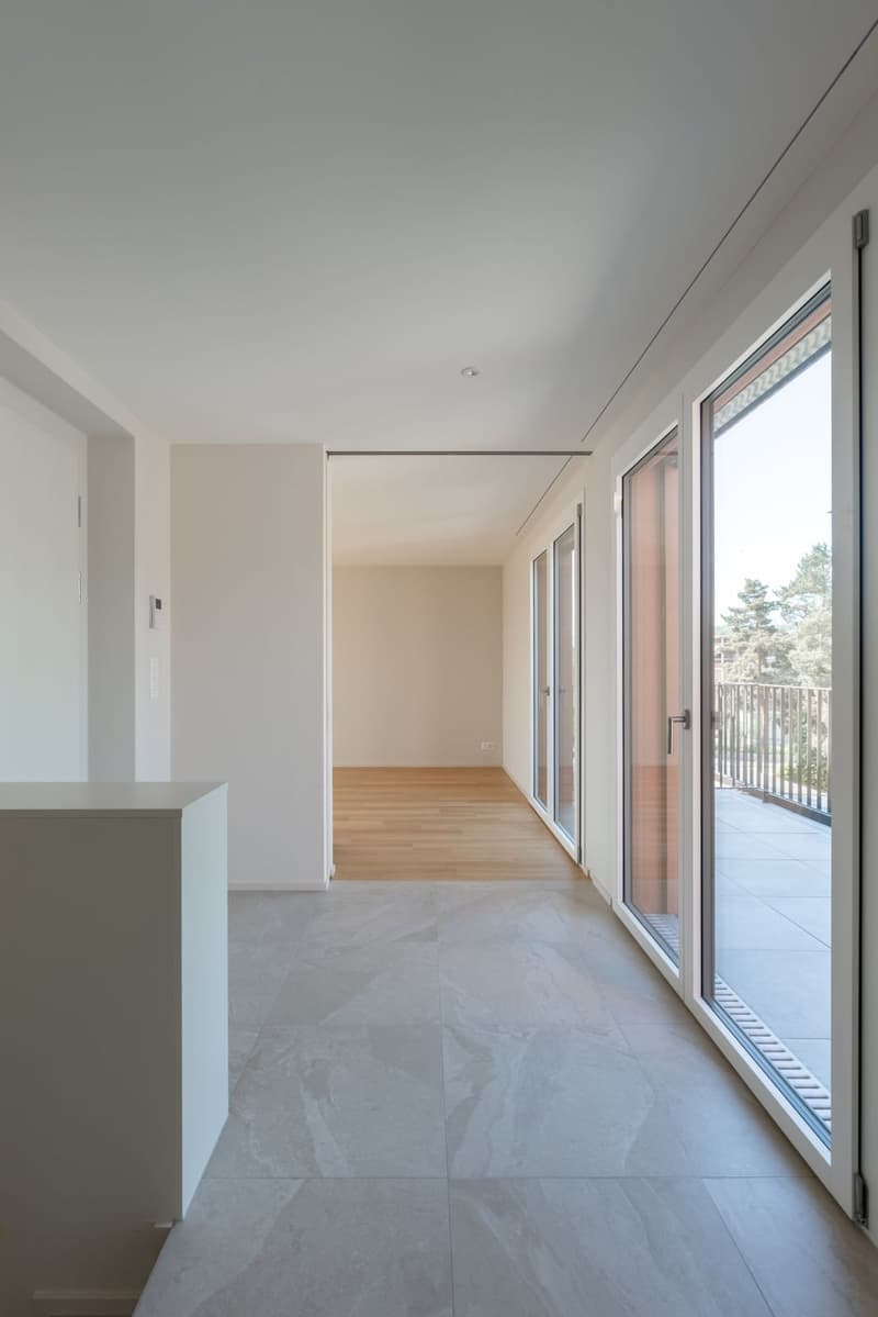 Exklusive 5.5-Zimmer-Attikawohnung mit vier Dachterrassen (9)