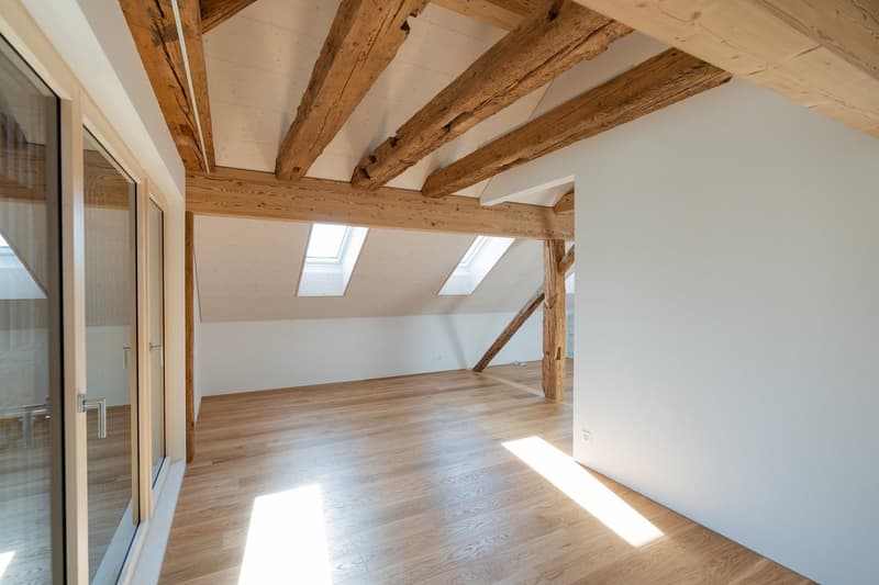 Einmalig: Neubau im Kleid einer historischen Scheune (19)
