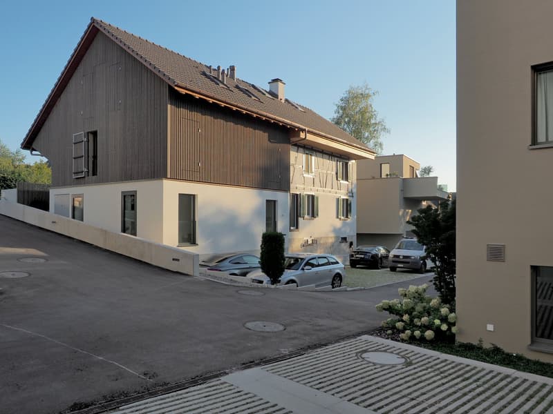 Einmalig: Neubau im Kleid einer historischen Scheune (3)