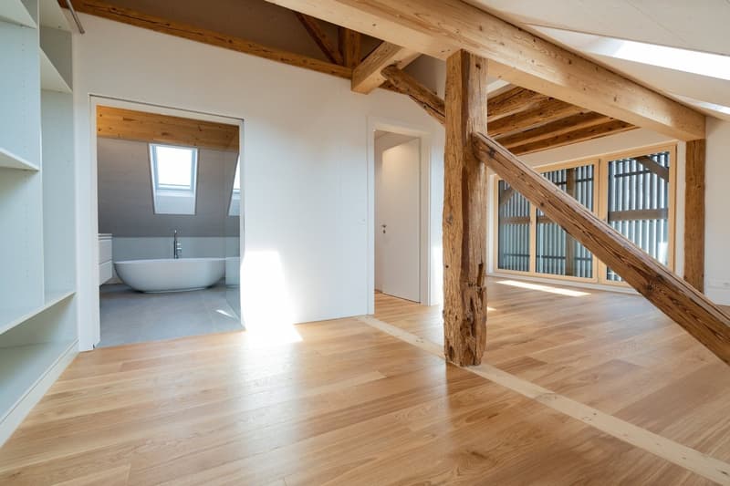 Einmalig: Neubau im Kleid einer historischen Scheune (18)