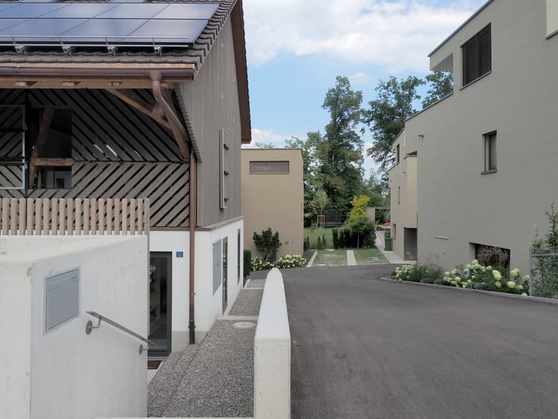 Einmalig: Neubau im Kleid einer historischen Scheune (2)