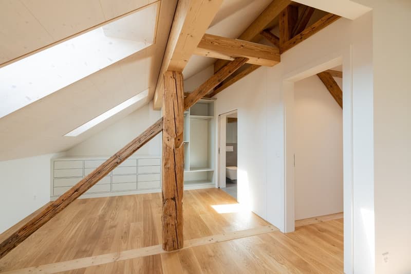 Einmalig: Neubau im Kleid einer historischen Scheune (20)