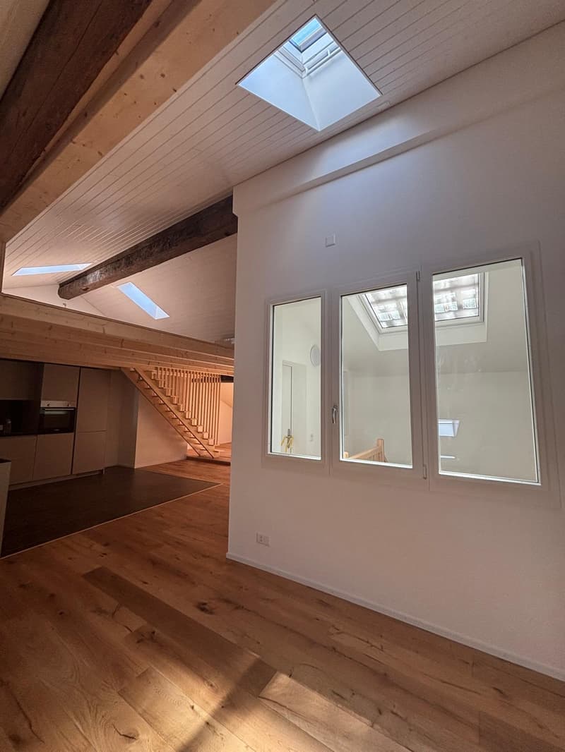 Magnifique loft de 93m2 rénové dans le centre historique de Fribourg (2)