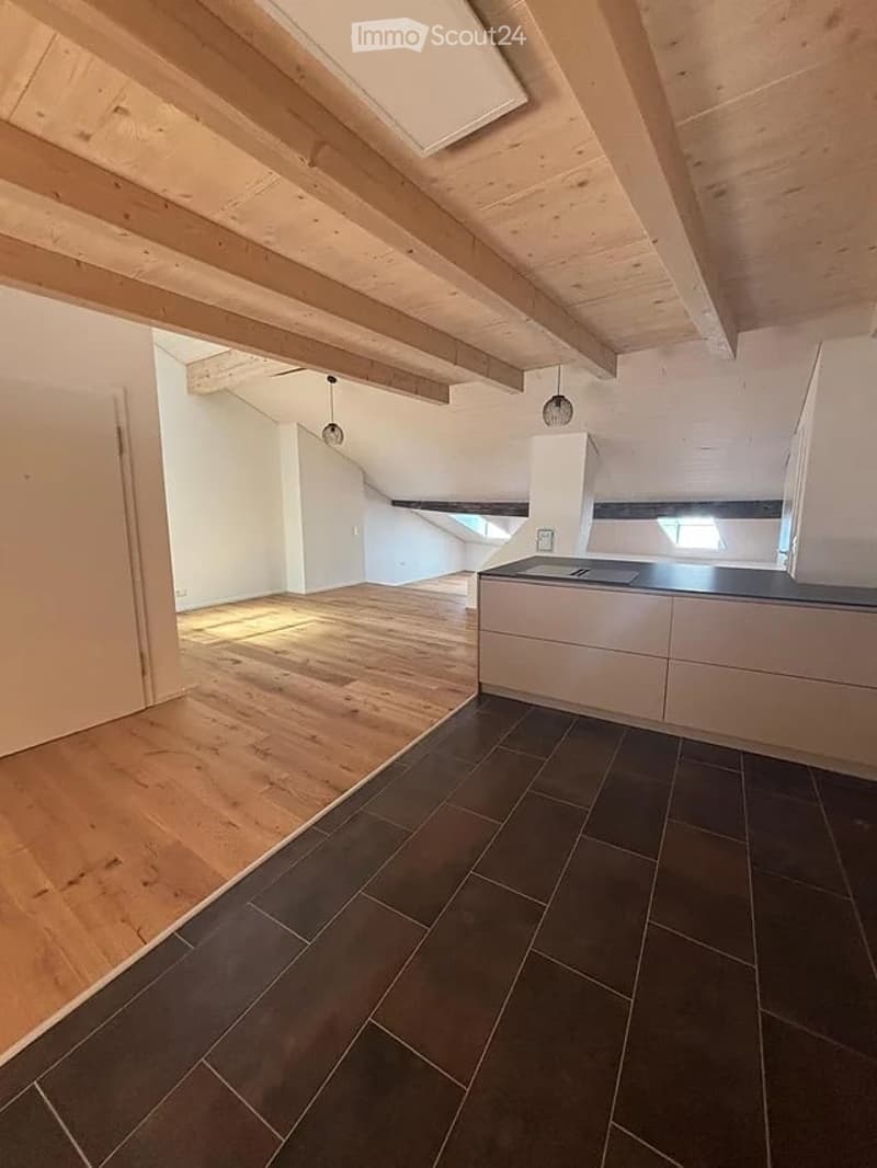 Magnifique loft de 93m2 rénové dans le centre historique de Fribourg (7)