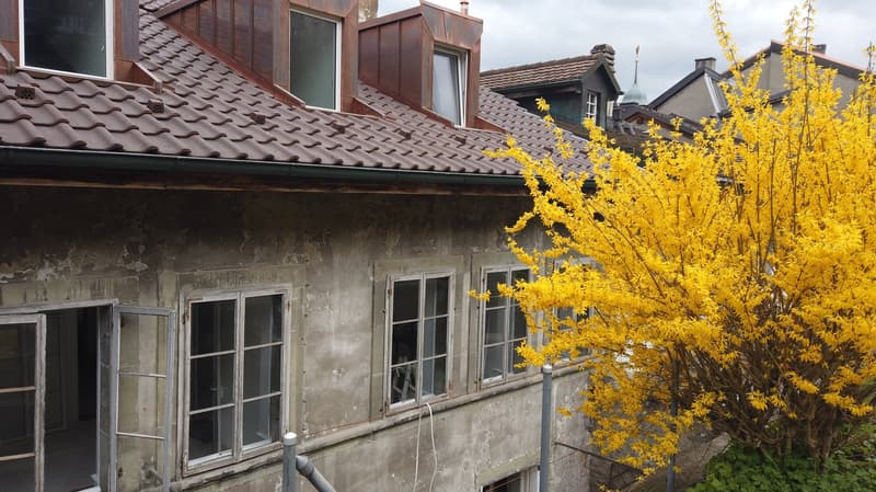 Magnifique loft de 93m2 rénové dans le centre historique de Fribourg (15)