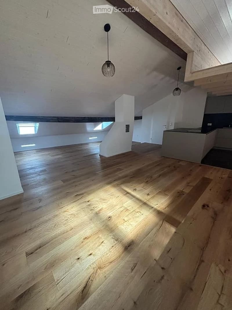 Magnifique loft de 93m2 rénové dans le centre historique de Fribourg (6)
