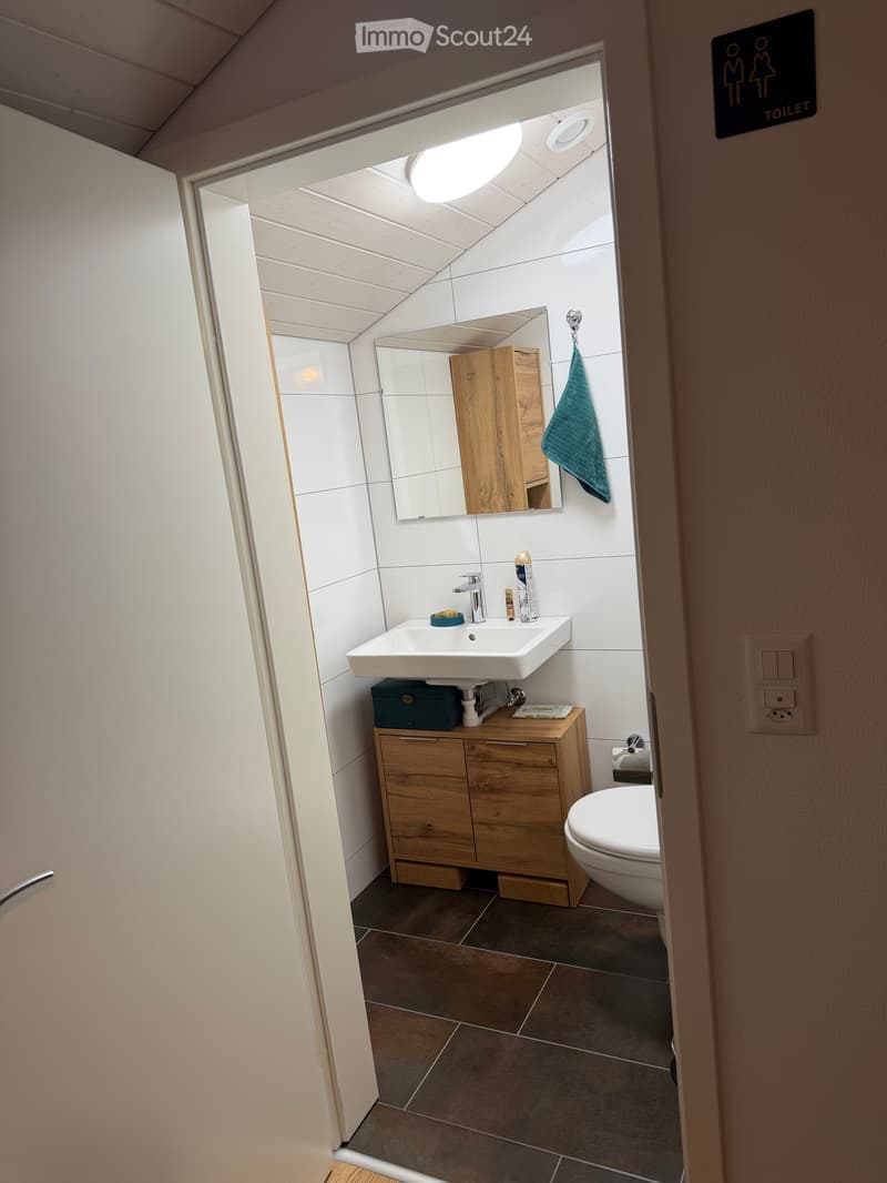 Magnifique loft de 93m2 rénové dans le centre historique de Fribourg (9)