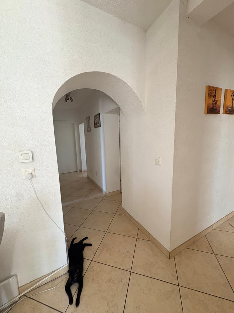 Superbe appartement de 4.5 pièces 100 m² env. dans un immeuble de caractère à Henniez (6)