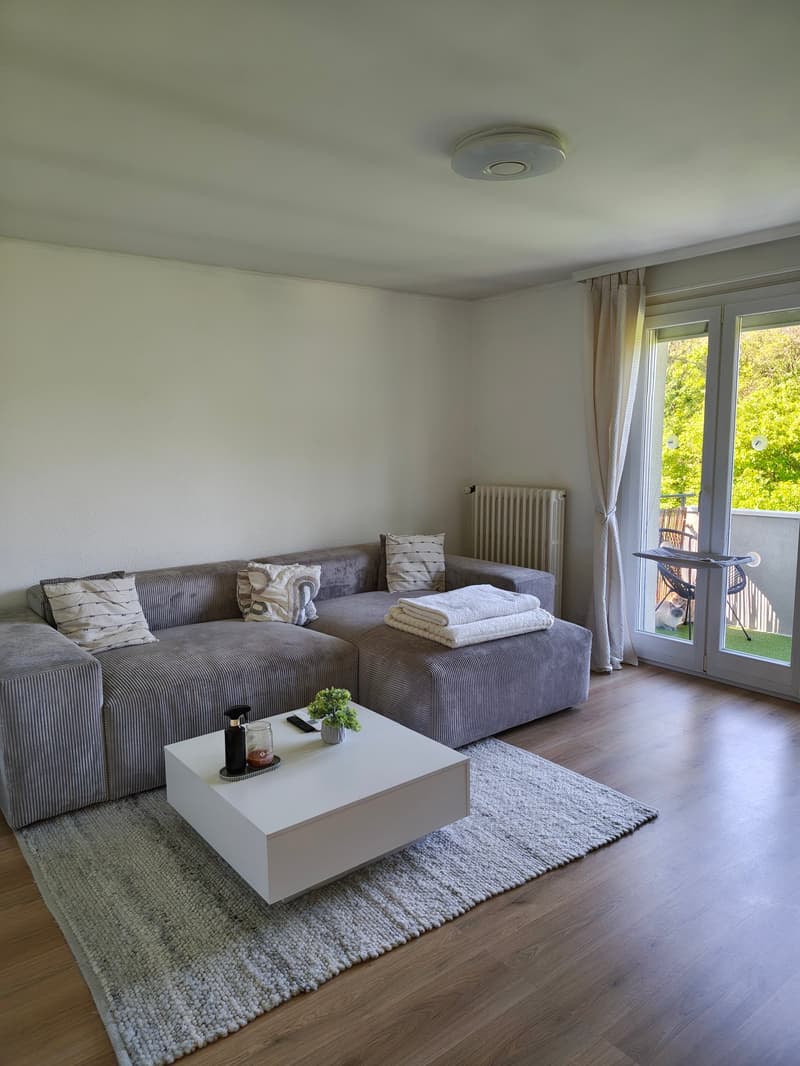 Appartement 4,5 pièces rénové avec 2 balcons et un grand jardin commun (1)