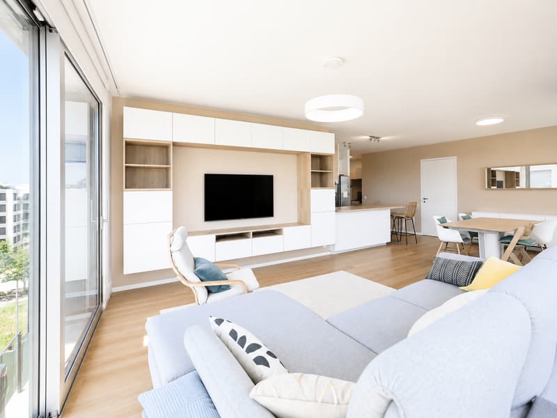 À VENDRE 4.5 PCS EN ATTIQUE AU GRAND-LANCY (3)
