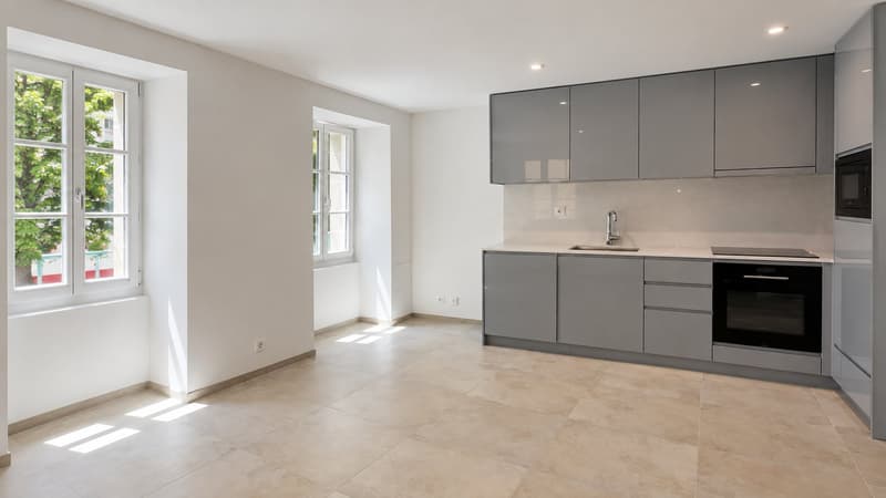 (NEUF) 1.5 pcs à Louer à Lausanne, disponible immédiatement (1)