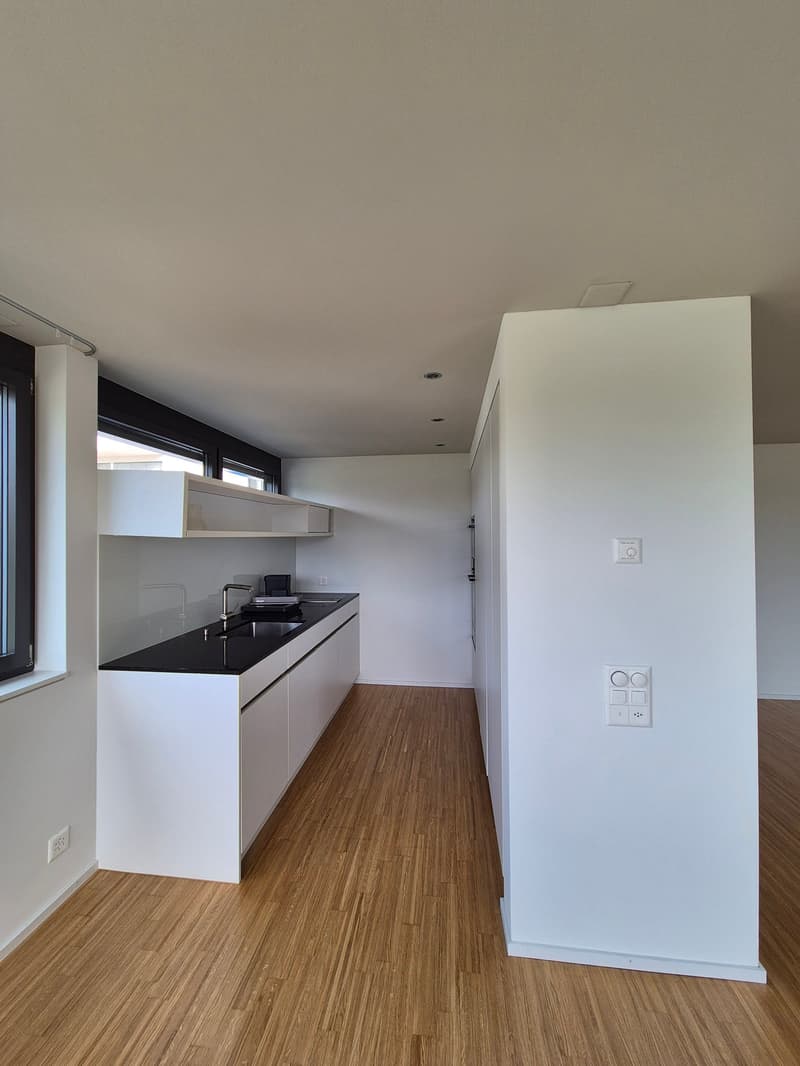 Modernes Wohnen in Seenähe in Bäch (Wollerau) (2)