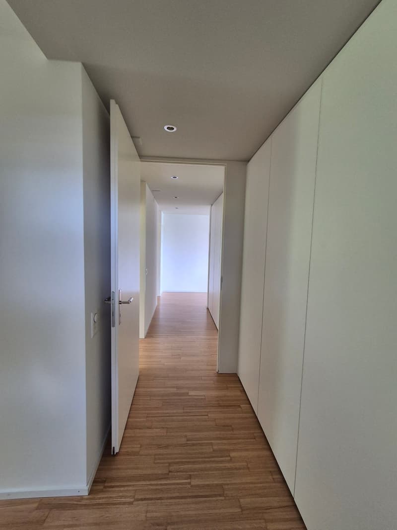 Modernes Wohnen in Seenähe in Bäch (Wollerau) (7)